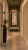 Untitled design.PNG
